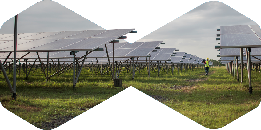 Solar panel ground-mount structures at a utility-scale plant